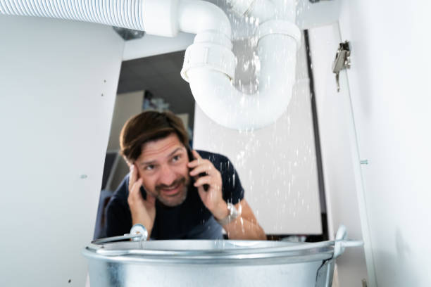 Best Emergency Plumbing Repair  in Minnetrista, MN