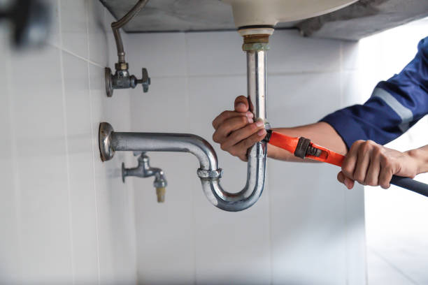 Best Sprinkler Systems  in Minnetrista, MN