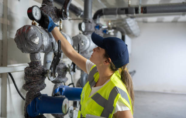 Best Local Plumber Services  in Minnetrista, MN